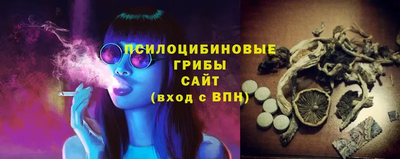 Галлюциногенные грибы Cubensis Алушта